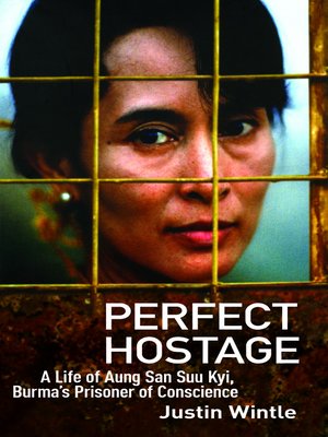cover image of Perfect Hostage